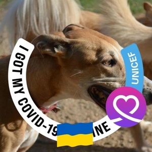 Meet your Posher, Shaun